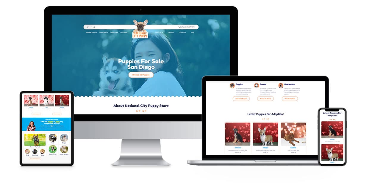 NCP website design by Mass Division
